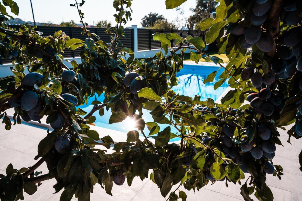 Villa Margita Spalato Esterno foto