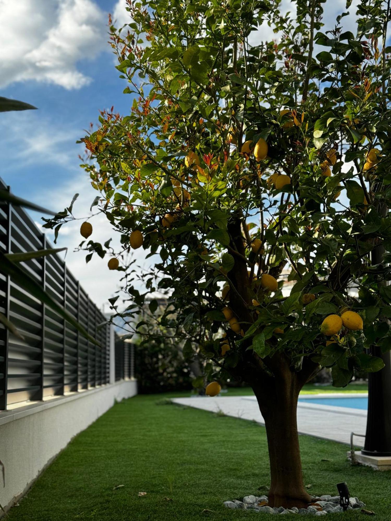 Villa Margita Spalato Esterno foto